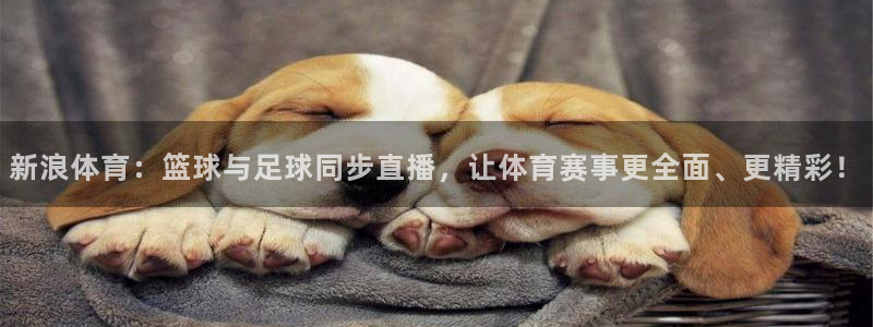 9255tv直播nba在线观看：新浪体育：篮球与足球同步直播，让体育赛事更全面、更精彩！