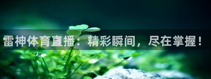 9255tv直播无插件nba：雷神体育直播：精彩瞬间，尽在掌握！