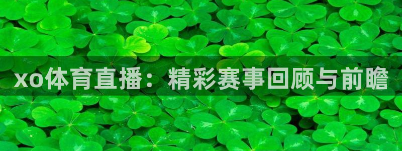 9255tv直播nba在线观看：xo体育直播：精彩赛事回顾与前瞻