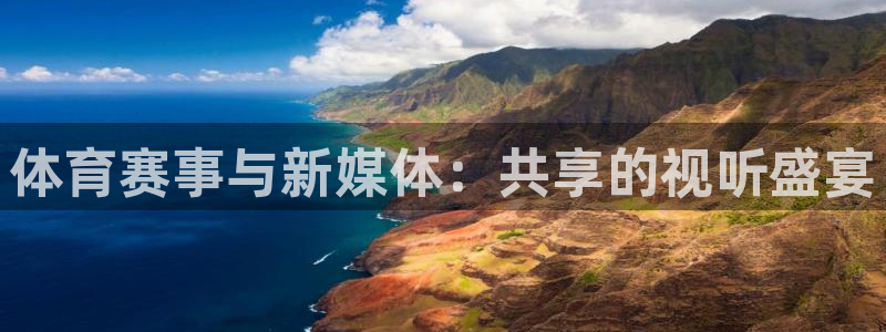 9255tv直播nba在线直播：体育赛事与新媒体：共享的视听盛宴
