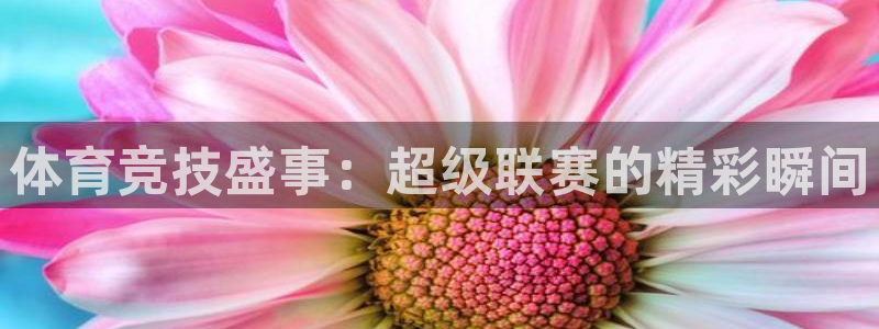9255tv直播nba在线直播：体育竞技盛事：超级联赛的精彩瞬间