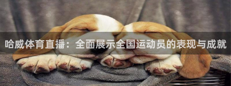 9255tv直播nba在线观看：哈威体育直播：全面展示全国运动员的表现与成就